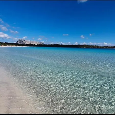 Vakantiehuis Arya San Teodoro (Sardinia)
