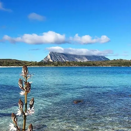 Arya Сasa de vacaciones *
